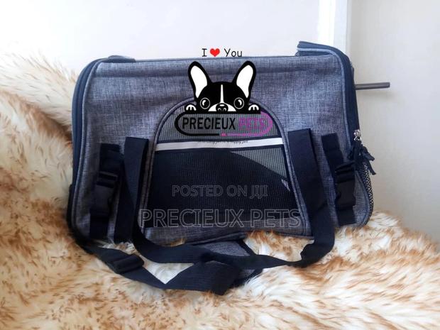 Mobile Toy Dog Bag Series 2021-14 · Photo 2