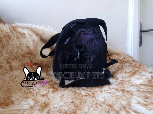 Mobile Toy Dog Bag Series 2021-30 · Photo 2