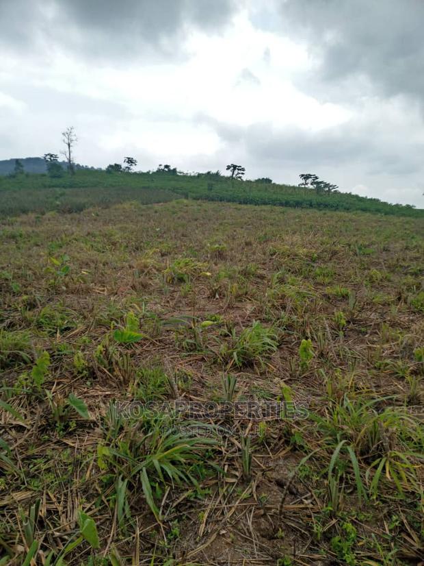 Service Land for Sale at Kasoa Kweikrom · Photo 4