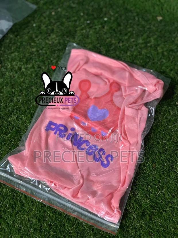 Toy Dog Clothing Series 2 · Photo 4