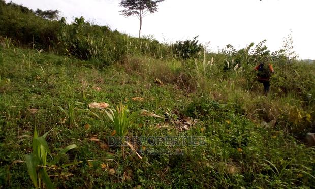 Plots of Land for Sale at Sasaabi. · Photo 3