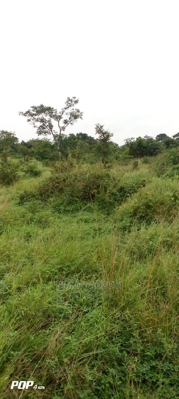 10.000 Acres of Land for Lease