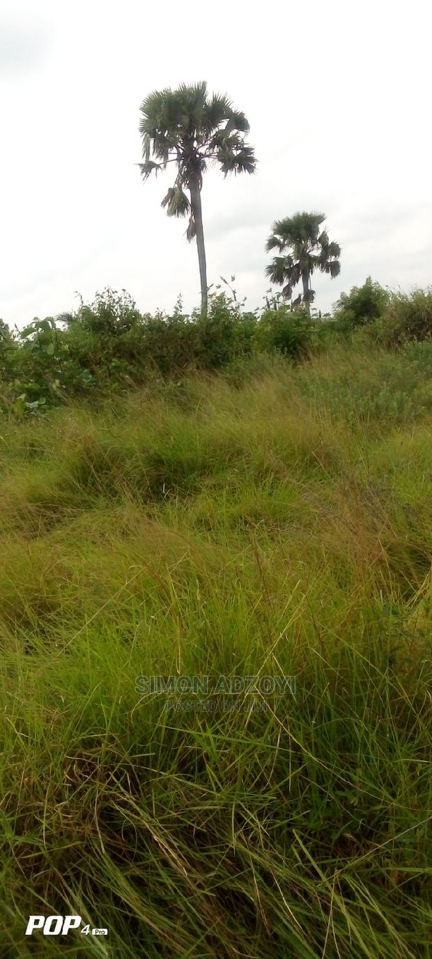 10.000 Acres of Land for Lease