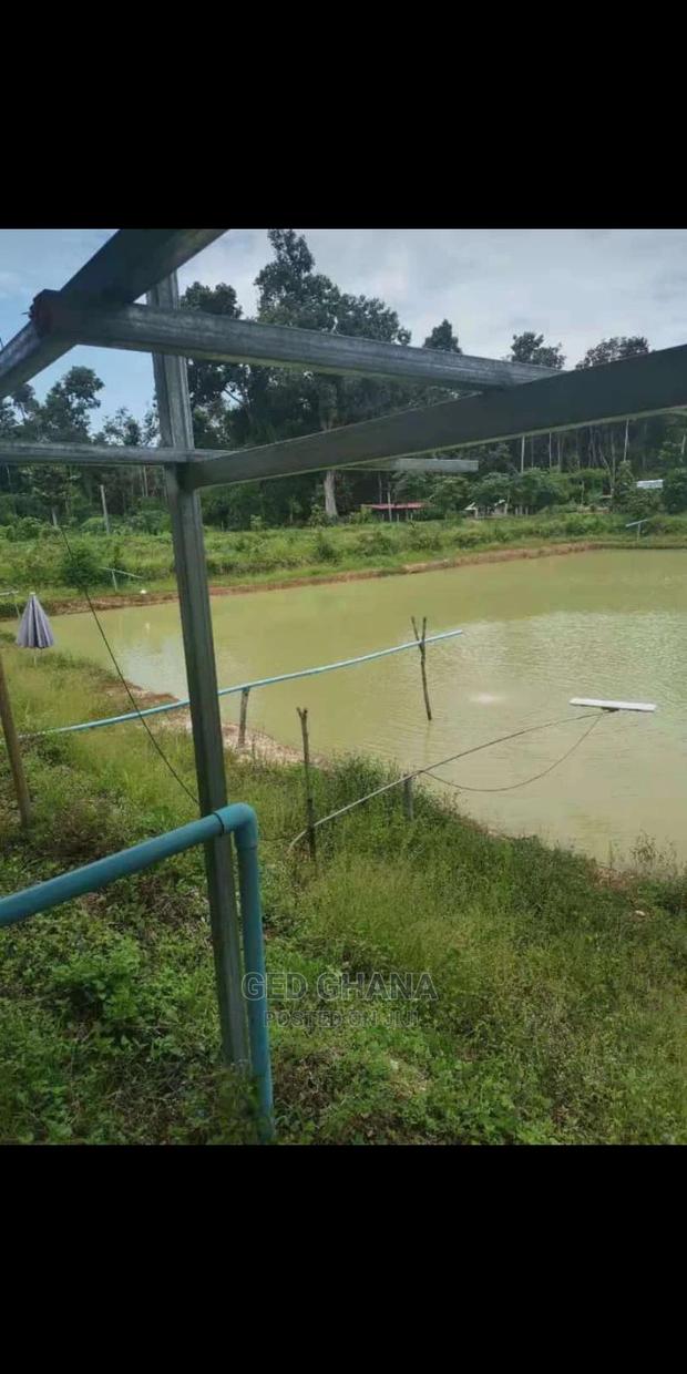 Solar Water for Farming photo 10