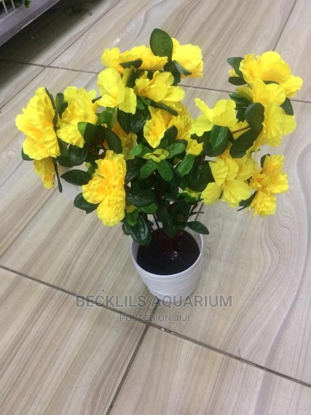 Flowers and Flower Pot · Photo 3