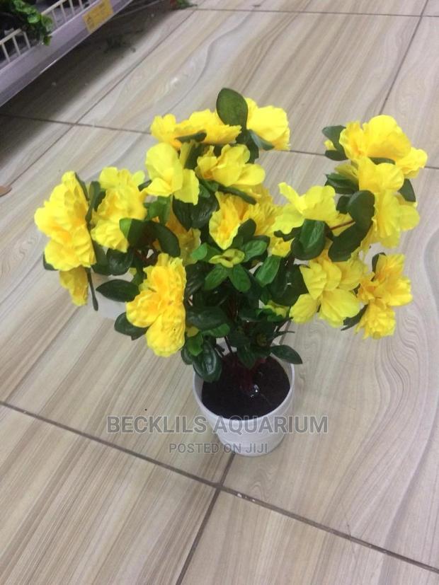 Flowers and Flower Pot · Photo 4