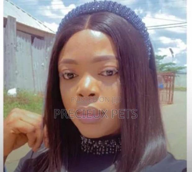 Bone Straight Blend · Photo 2
