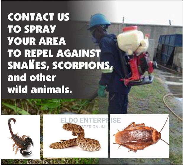 Snake And Scorpion Fumigation · Photo 2