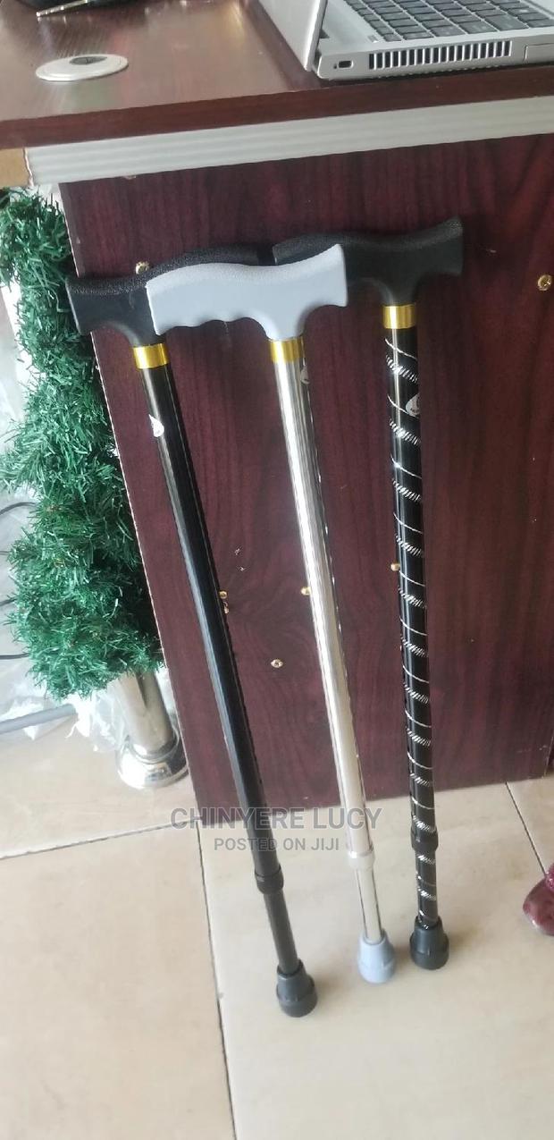 Walking Stick · Photo 2
