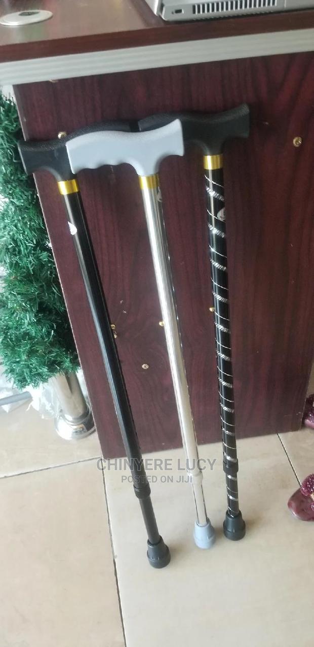 Walking Stick · Photo 3