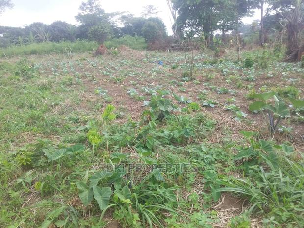 Roadside Land at Malejor for Sale · Photo 3