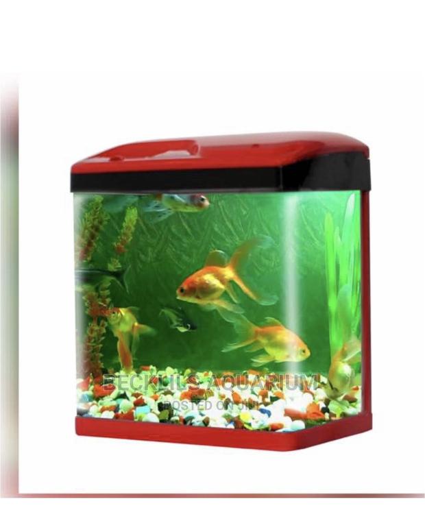 Aquariums and Accessories · Photo 2