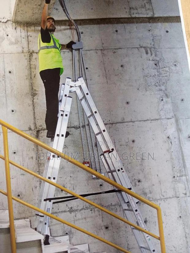 Double Extension Ladder · Photo 3