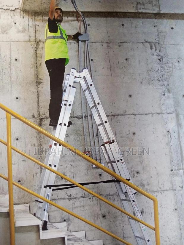 Double Extension Ladder · Photo 4