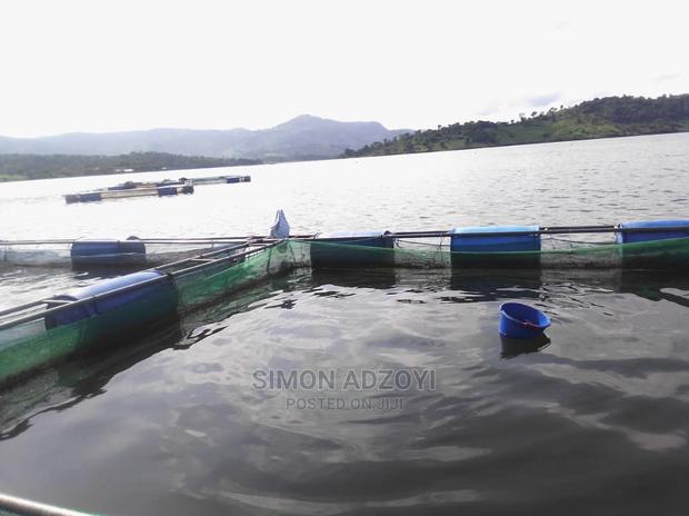 Fish Farming Land
