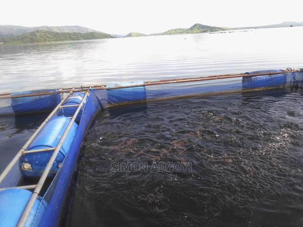 Fish Farming Land