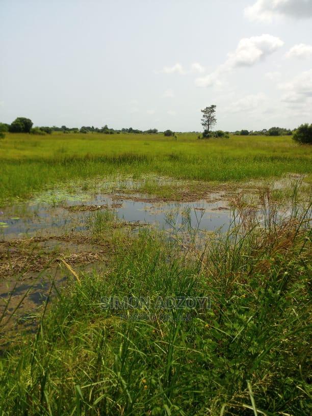10,000+ Acres of Rice Farming Land for Long Term Lease