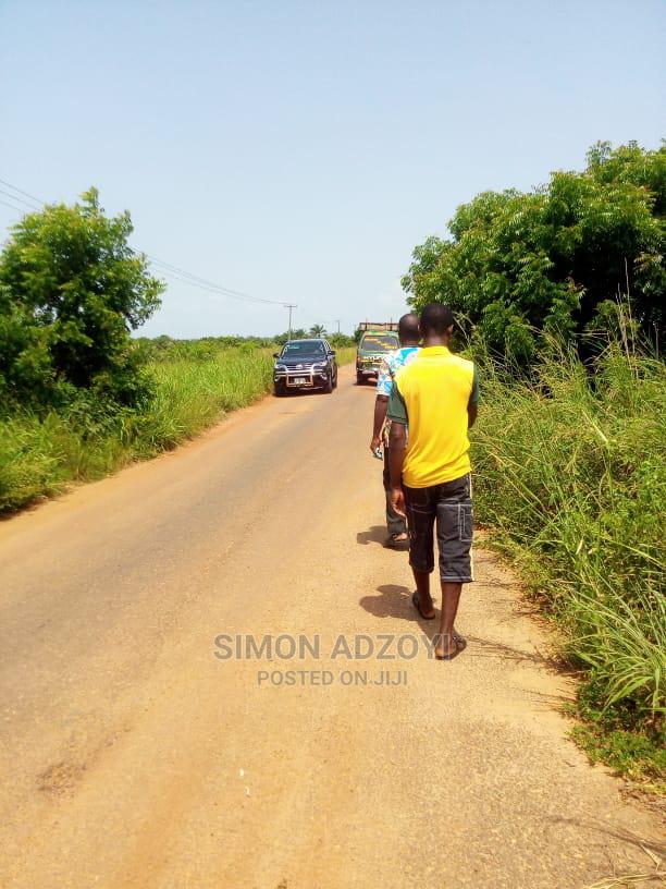 10,000+ Acres of Rice Farming Land for Long Term Lease