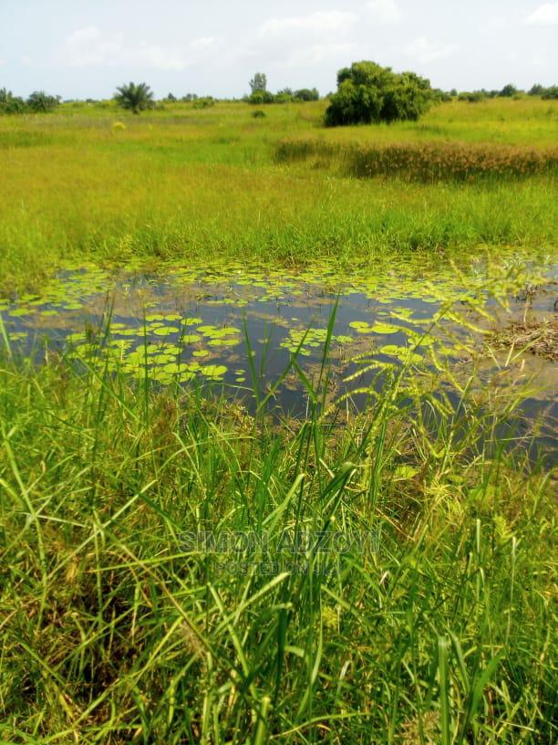 10,000+ Acres of Rice Farming Land for Long Term Lease