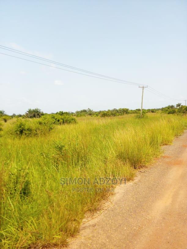 10,000+ Acres of Rice Farming Land for Long Term Lease