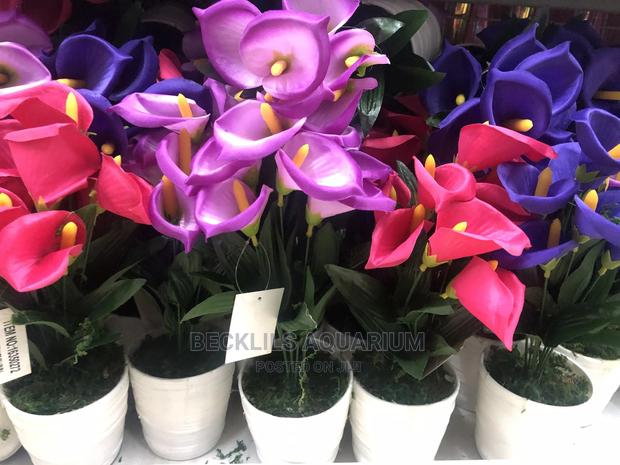 Flowers and Flower · Photo 3
