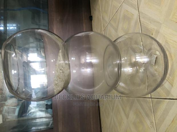 Aquarium Glass Bowl