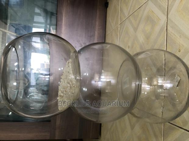 Aquarium Glass Bowl