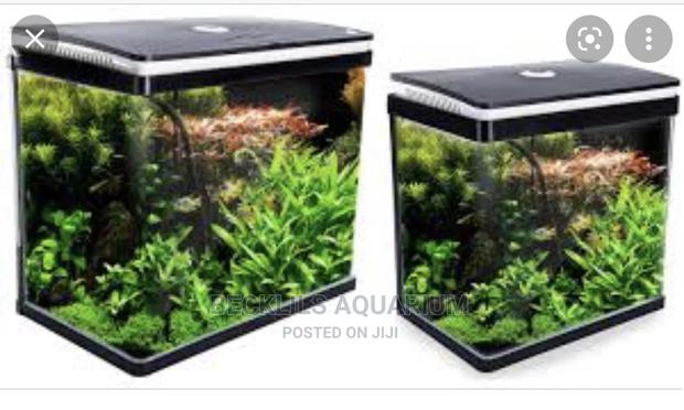 Package Aquarium Fish Tank
