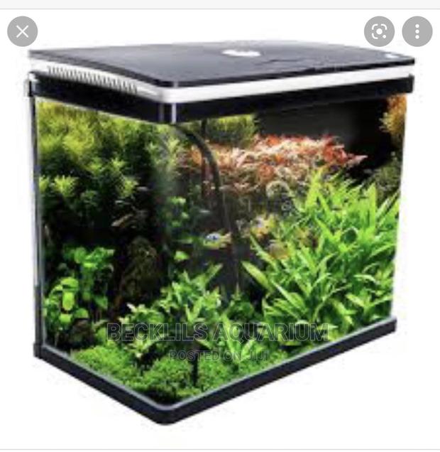 Package Aquarium Fish Tank