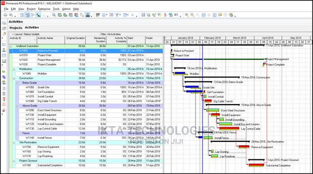 Primavera 17 Pro | Industry"S Best Project Management Tool · Photo 2