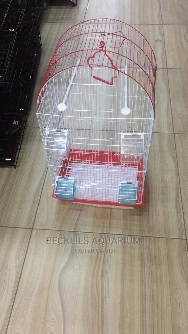 Single Quality Bird Cage · Photo 3