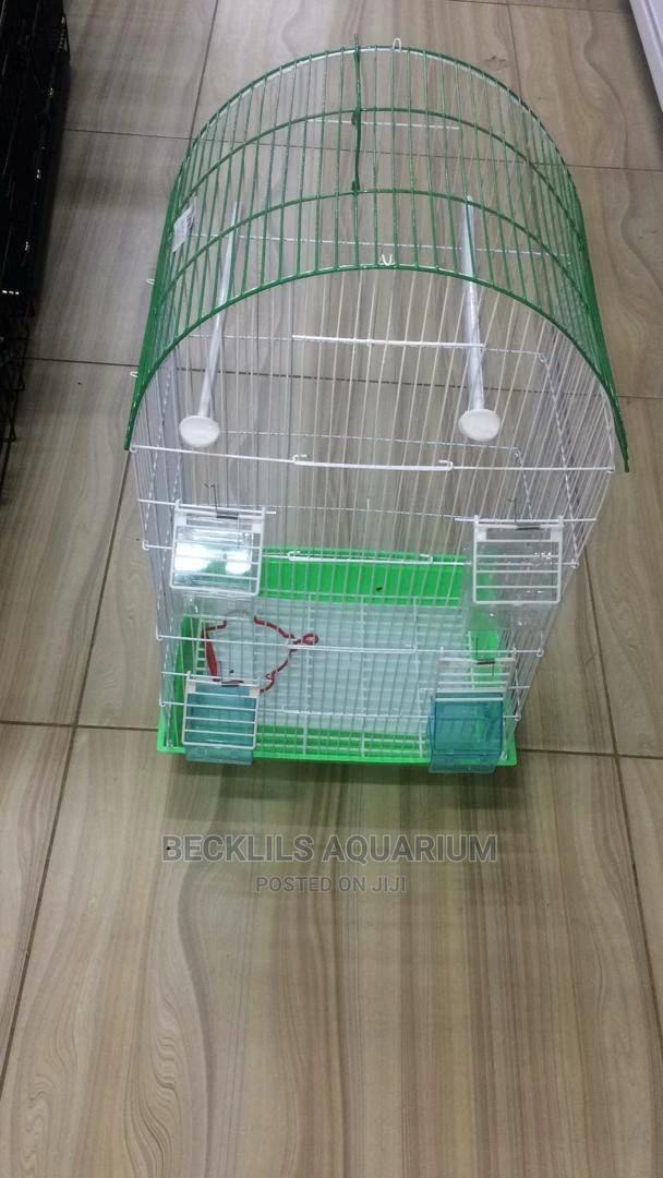 Single Quality Bird Cage · Photo 4