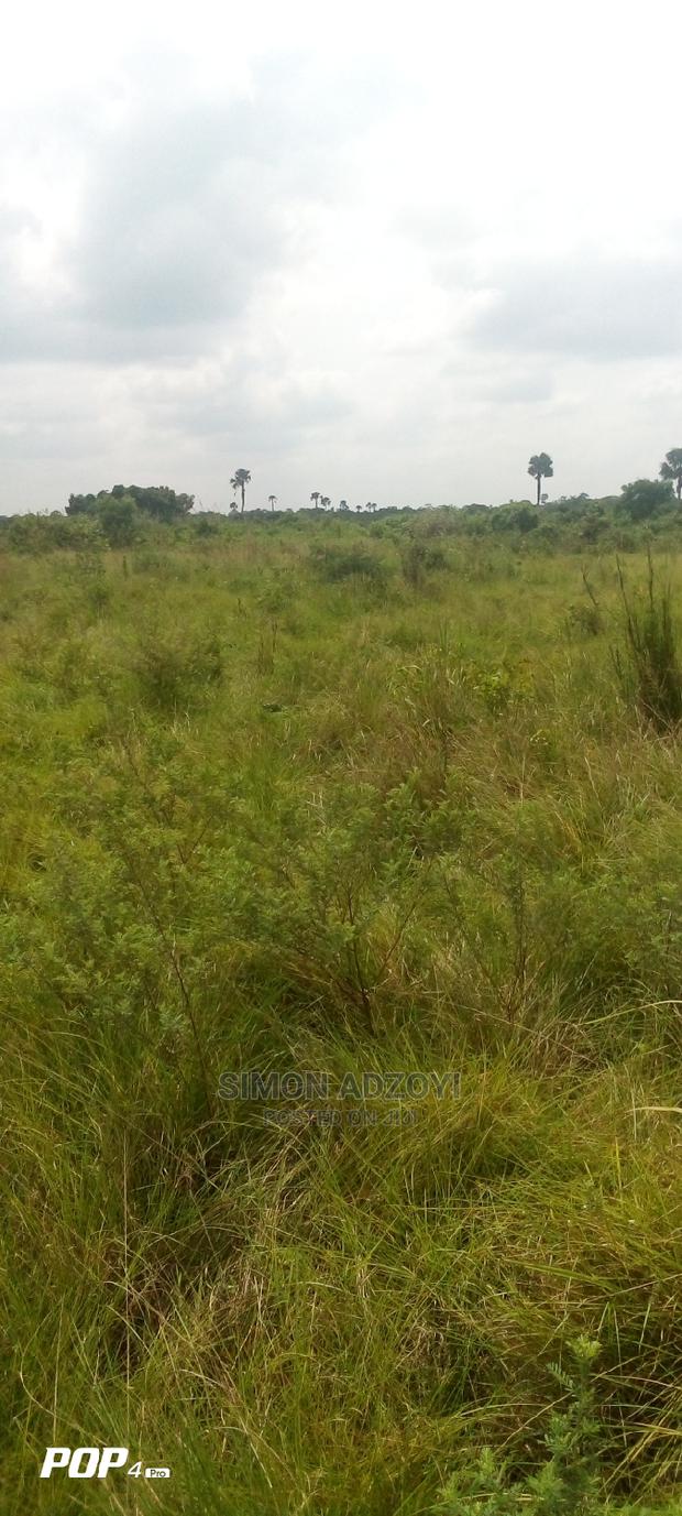 Farm Land for Long Lease