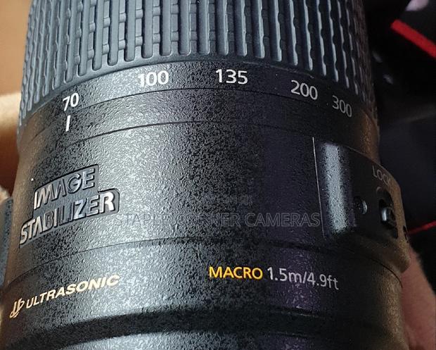 Canon EF 70-300mm 1:4-5.6 IS LENS · Photo 2