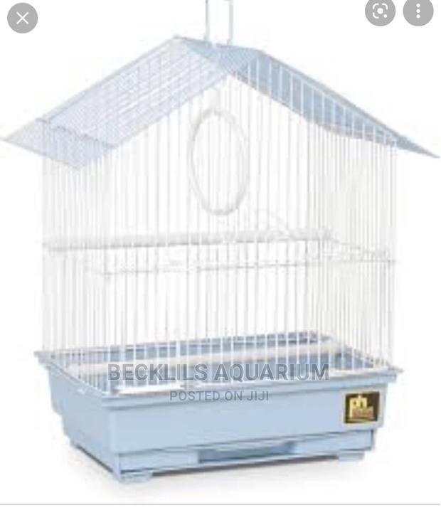 Quality Mini Bird Cages · Photo 4