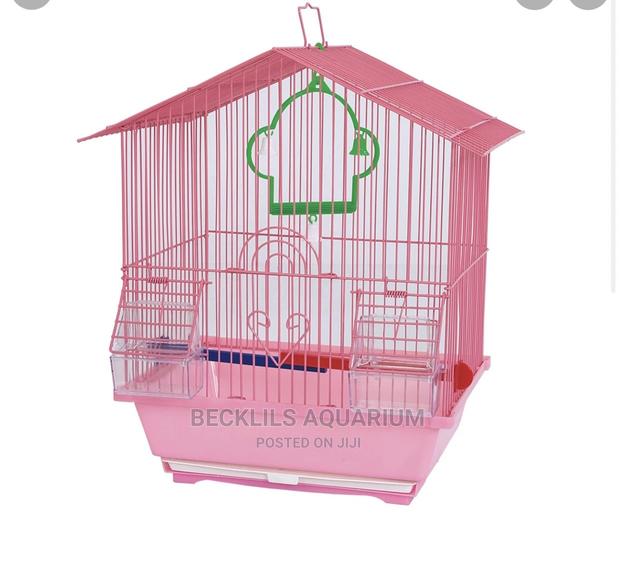 Quality Mini Bird Cages · Photo 3