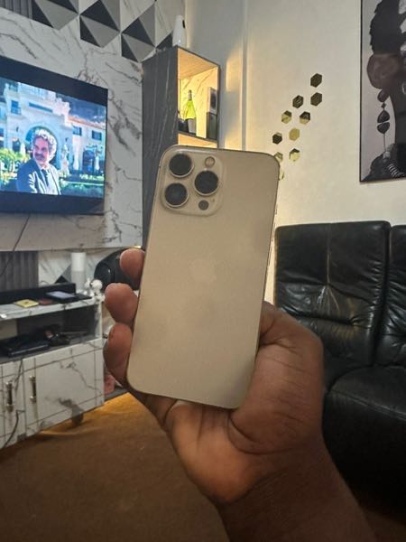 Used Apple iPhone 12 Pro Max 256 GB