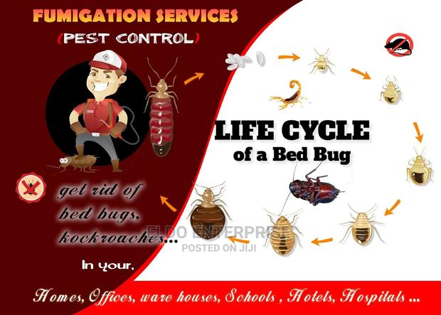 Indoor and Outdoor Fumigation Service · Photo 2
