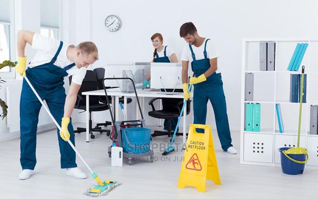 Professional Cleaning Services · Photo 2