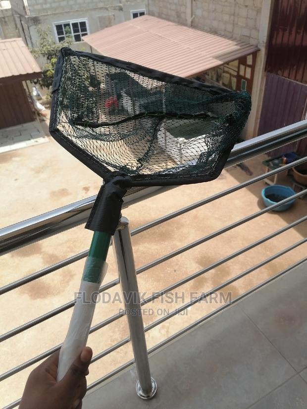 Large Scooping Net · Photo 4