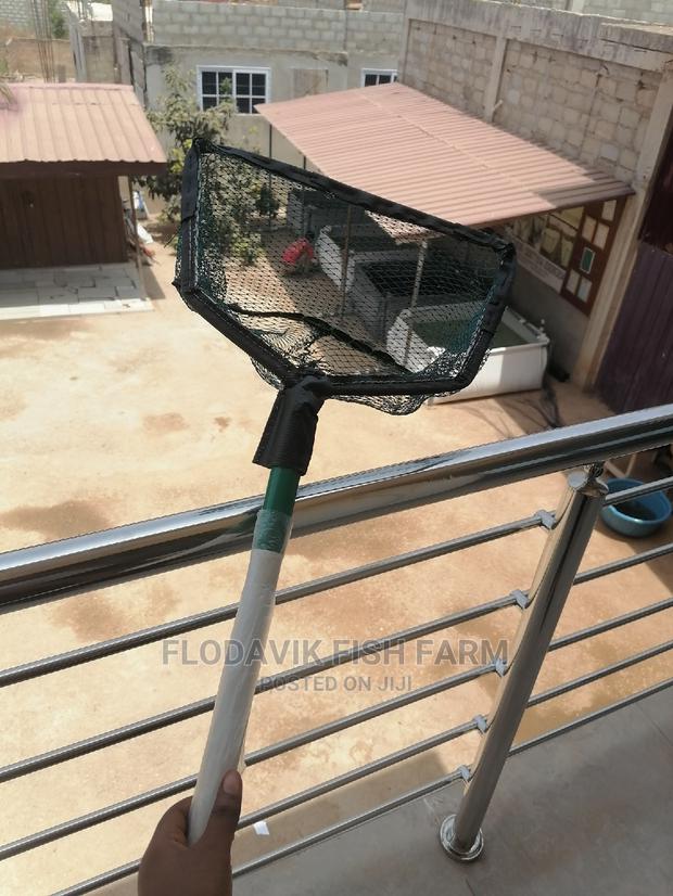 Large Scooping Net · Photo 3
