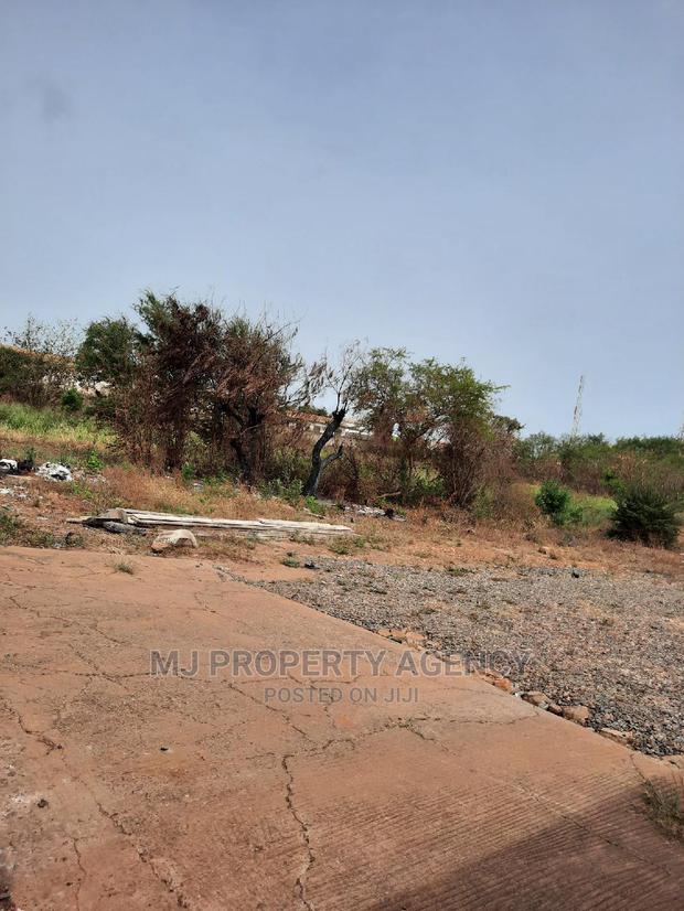 2 Acres of Roadside Commercial Land · Photo 2
