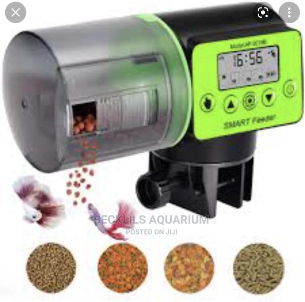 Quality Automatic Feeder · Photo 4