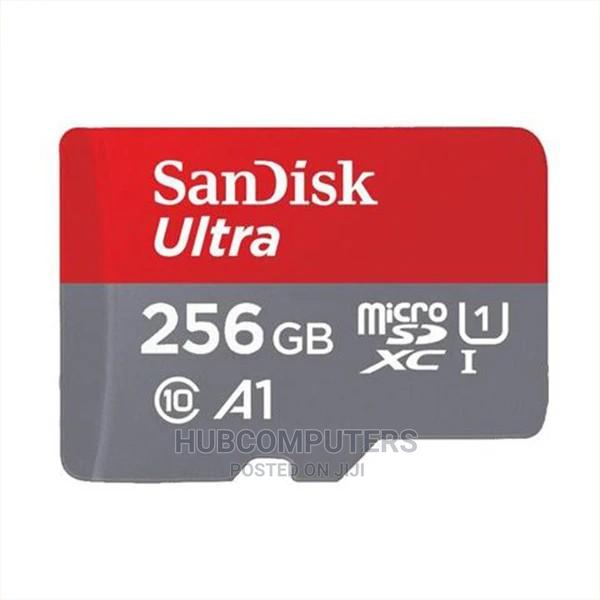 Sandisk 256gb Memory Card · Photo 4