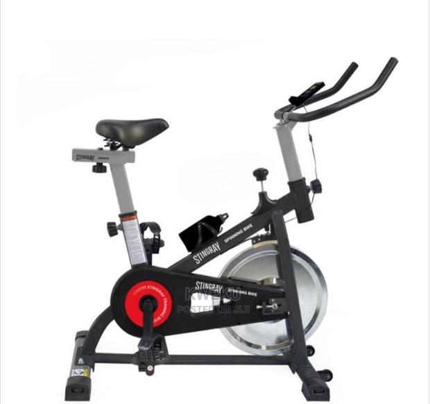 Stingray Spinning Bike · Photo 2