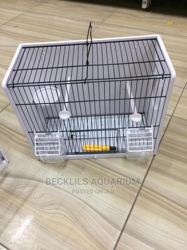 Quality Affordable Birdcage · Photo 4