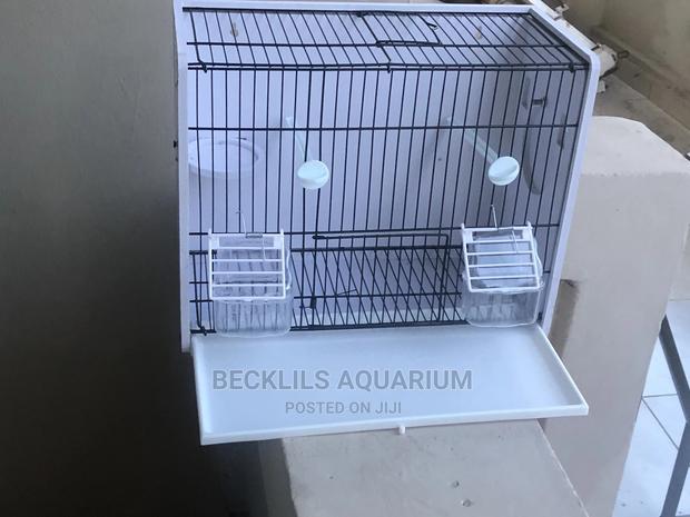 Large Bird Cages N More · Photo 4