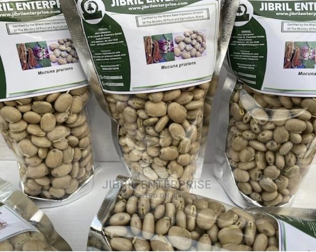 White Mucuna Pruriens, White Velvet Beans · Photo 3