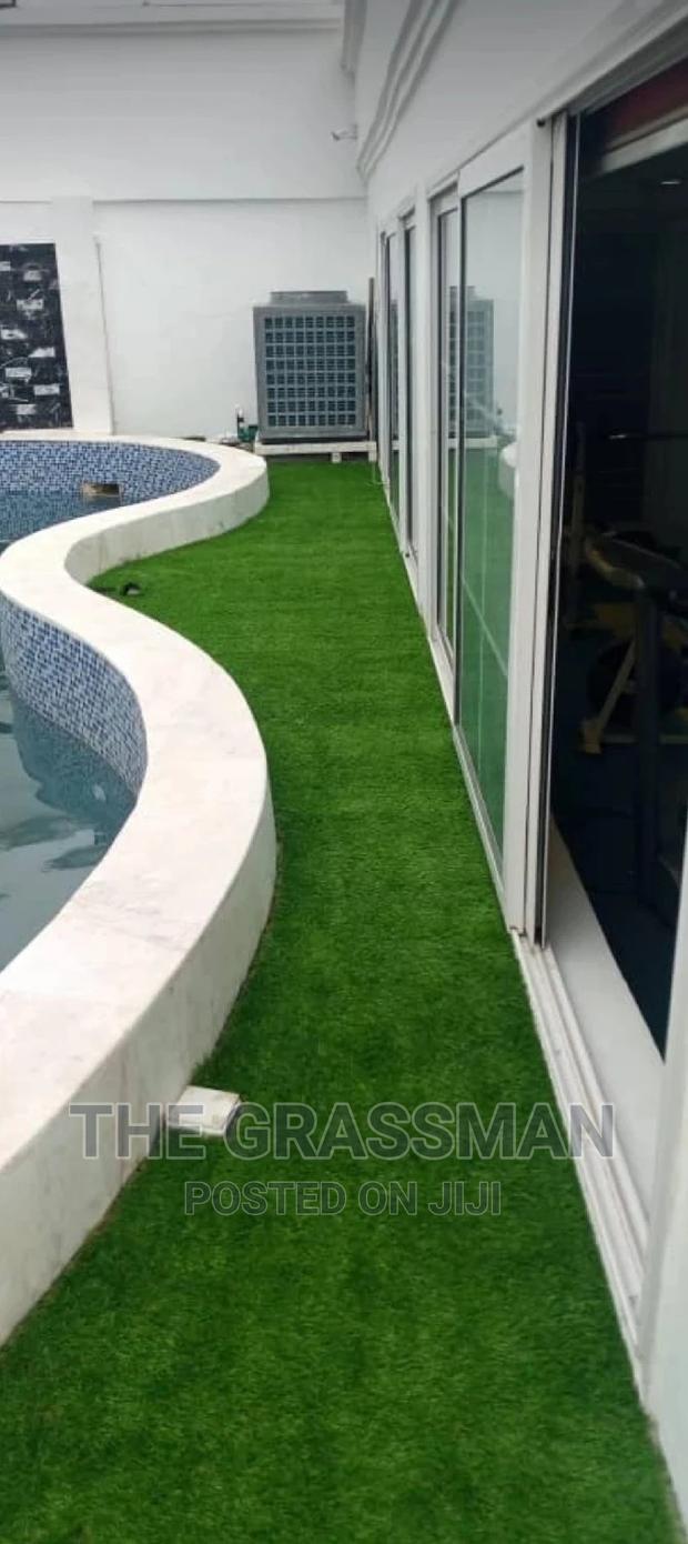 Green Grass For Modern Garden For Homes, Hotels photo 2