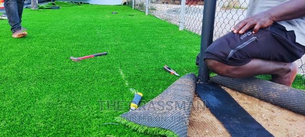 Green Grass For Modern Garden For Homes, Hotels photo 5